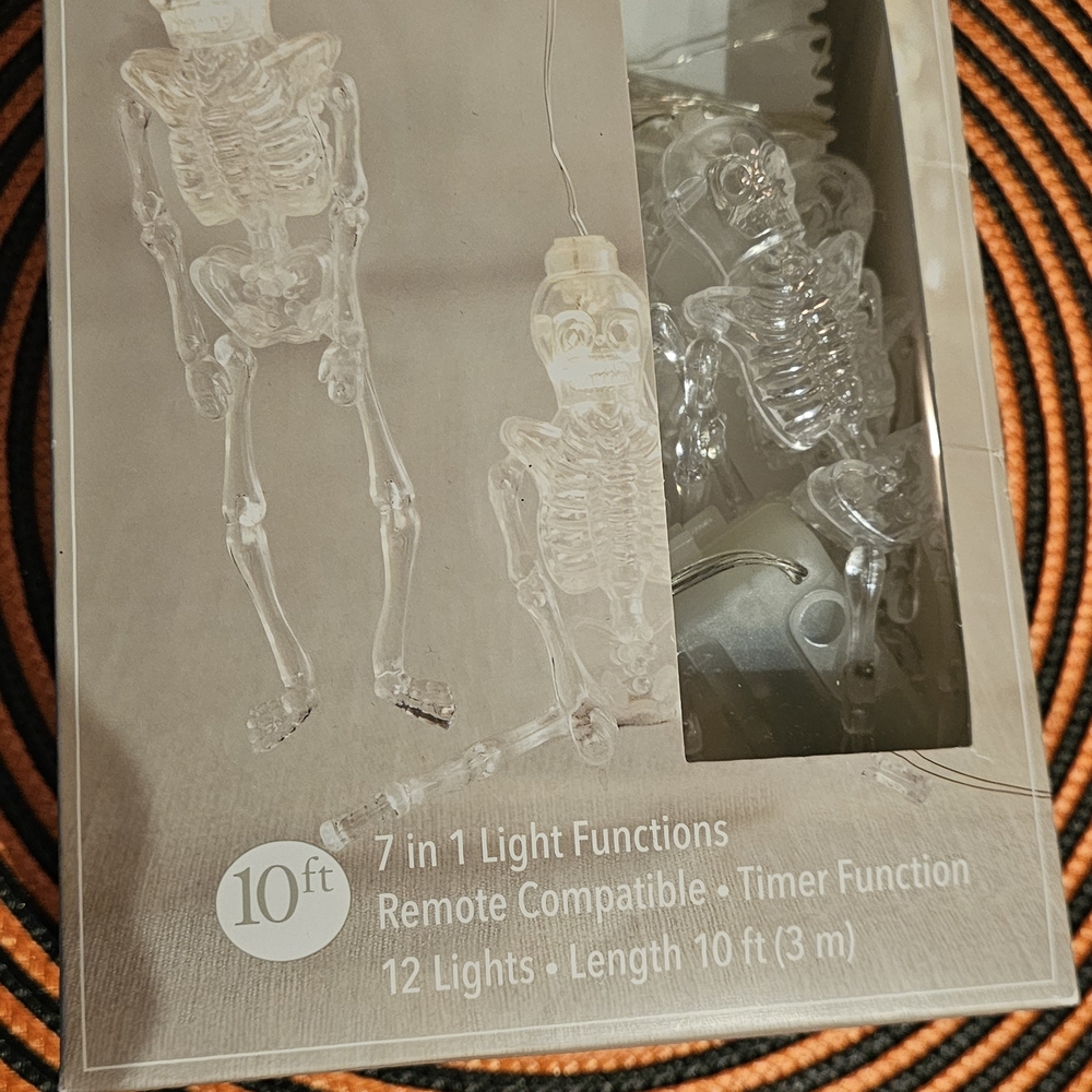 Pier 1 Clear Skeleton String Lights